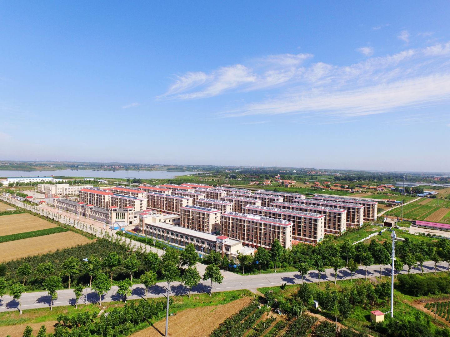青岛乐鱼(中国)集团莱西平度公司河头店镇龙泉湖社区项目实景图01_compressed